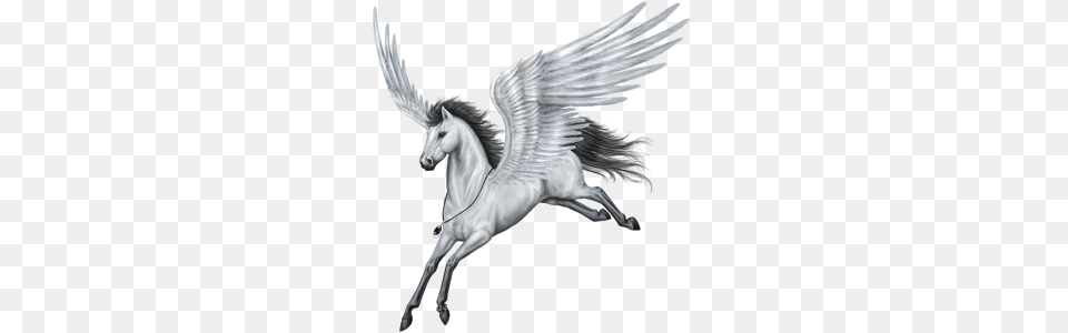 Pegasus, Animal, Bird Png