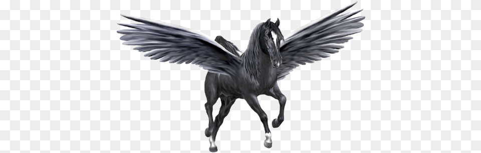 Pegasus, Animal, Horse, Mammal Free Transparent Png