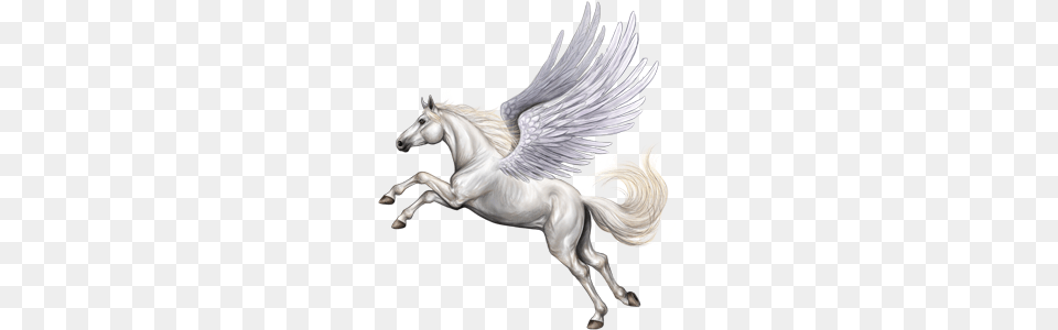 Pegasus, Animal, Horse, Mammal Png