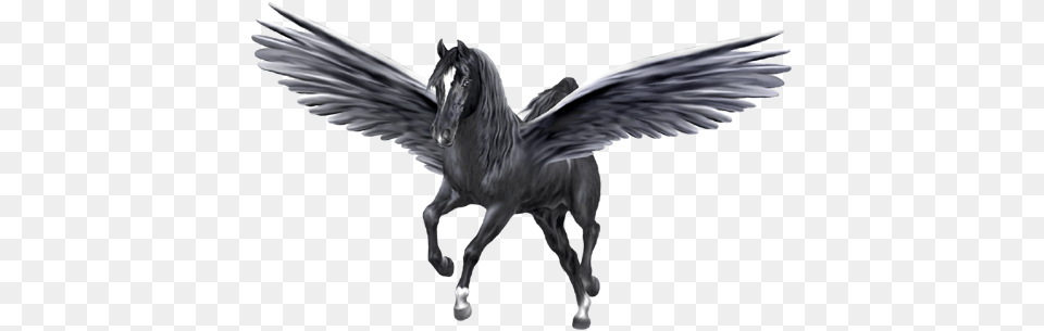 Pegasus, Animal, Horse, Mammal Free Png Download