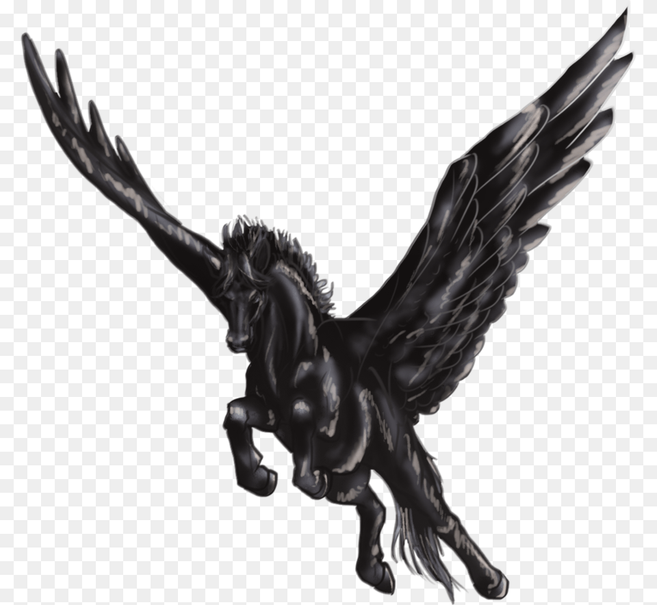 Pegasus, Animal, Bird, Accessories Free Transparent Png