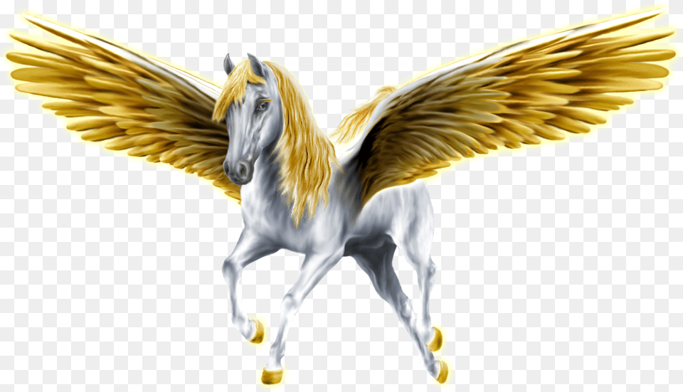 Pegasus, Animal, Horse, Mammal, Bird Free Transparent Png