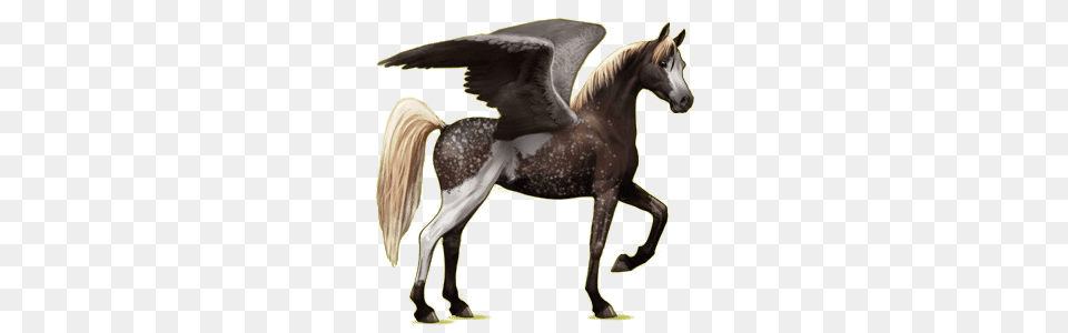Pegasus, Animal, Horse, Mammal, Colt Horse Free Png