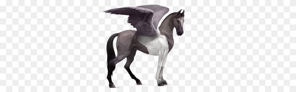 Pegasus, Animal, Horse, Mammal, Colt Horse Free Transparent Png