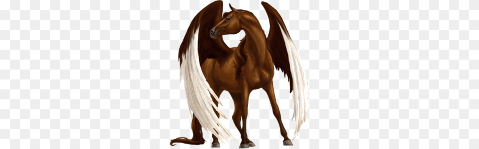 Pegasus, Animal, Colt Horse, Horse, Mammal Png