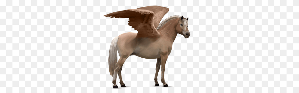 Pegasus, Animal, Horse, Mammal, Colt Horse Free Transparent Png