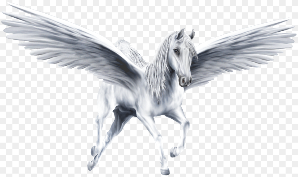 Pegasus, Animal, Horse, Mammal, Art Free Transparent Png