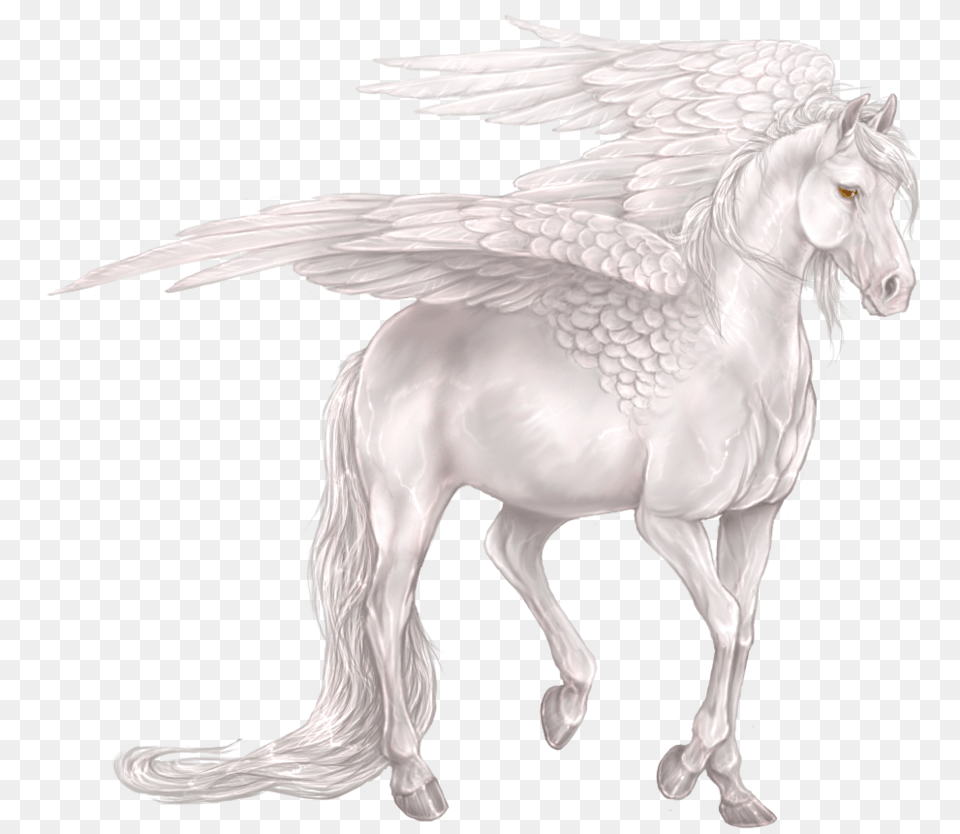 Pegasus, Animal, Horse, Mammal Png Image