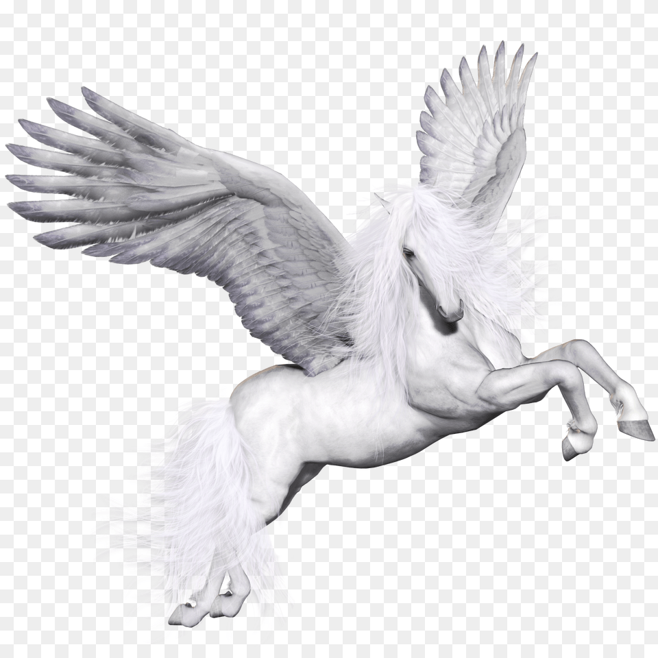 Pegasus, Animal, Bird Free Png Download