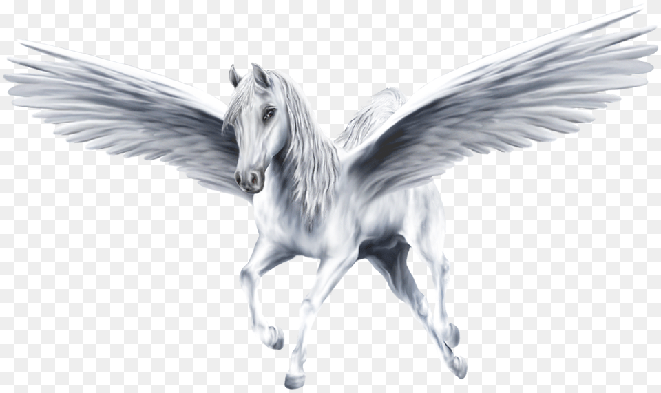 Pegasus, Animal, Horse, Mammal Free Png Download