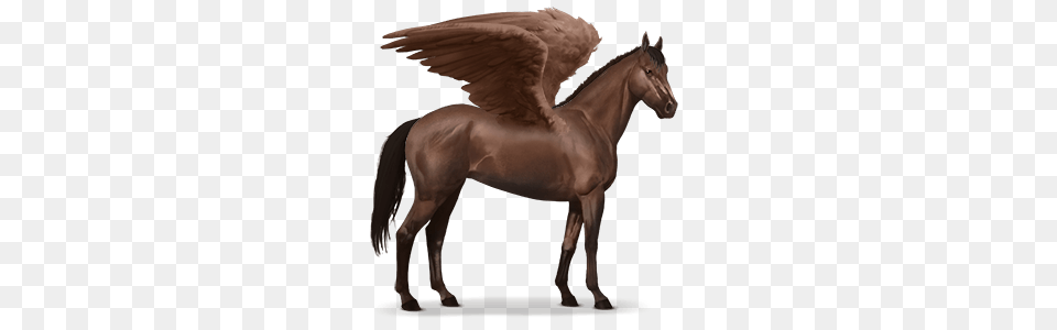 Pegasus, Animal, Horse, Mammal, Colt Horse Free Transparent Png