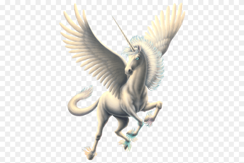 Pegasus, Animal, Bird Free Png