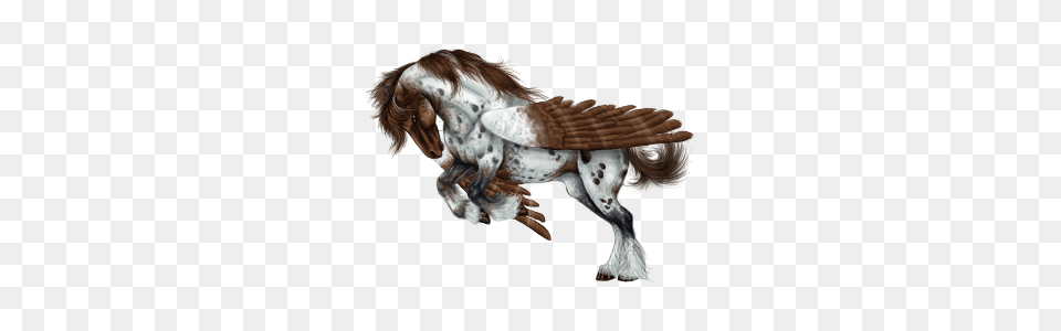 Pegasus, Animal, Art, Canine, Dog Png