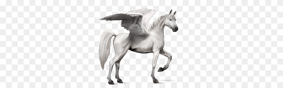 Pegasus, Animal, Horse, Mammal, Andalusian Horse Free Png Download