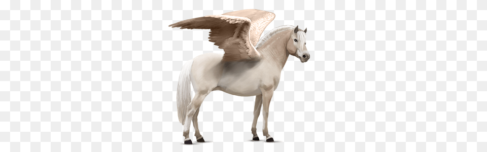 Pegasus, Animal, Horse, Mammal Png