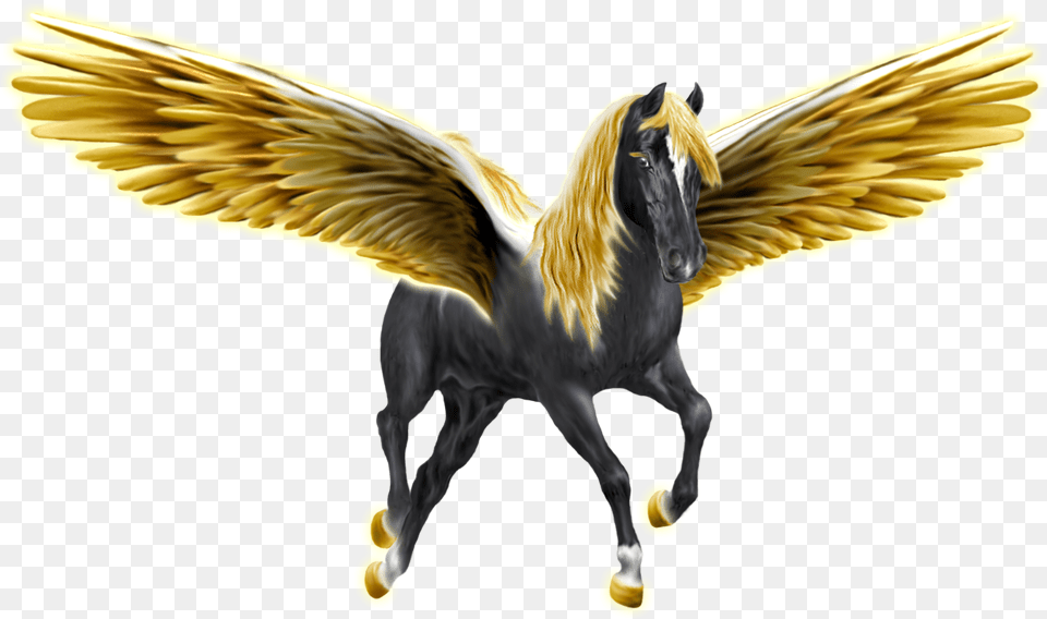Pegasus, Animal, Horse, Mammal, Bird Png Image