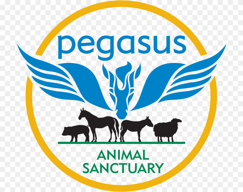 Pegasus Animal Sanctuary Redesign U2014 Daniel Chew Pegasus Animal Sanctuary Logo, Poultry, Symbol, Fowl, Emblem Free Transparent Png