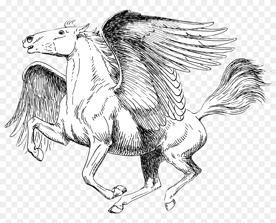 Pegasus Black And White Drawing, Art, Animal, Cattle, Cow Free Png Download