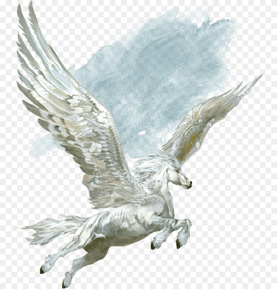 Pegasus Download Pegasus D And D, Animal, Bird, Aircraft, Airplane Png Image