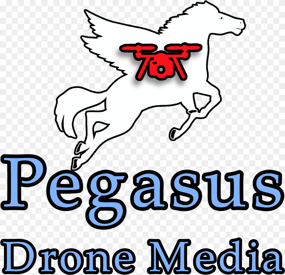 Pegasus Drone Media Logo, Animal, Bear, Mammal, Wildlife Free Png Download
