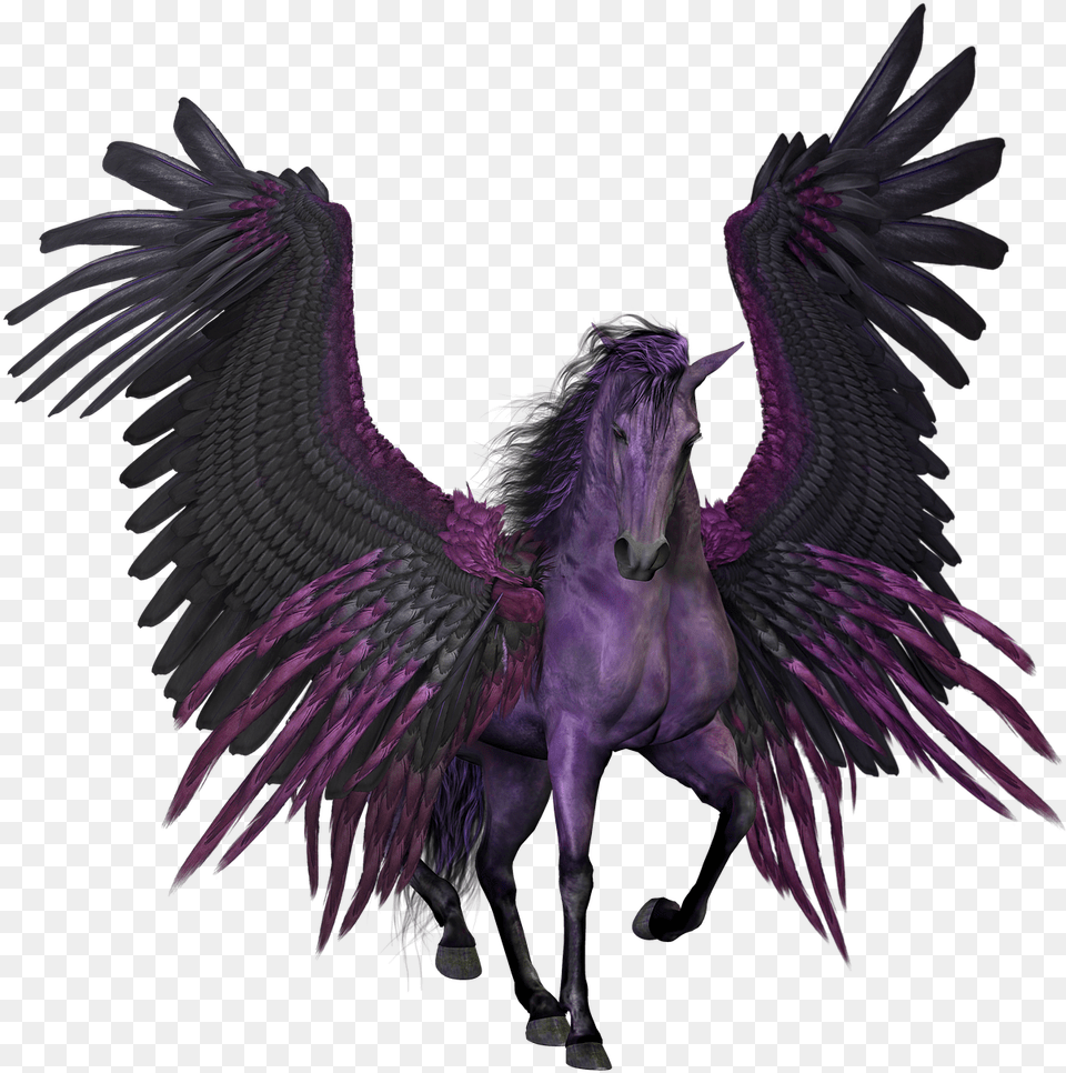 Pegasus Flying Winged Horse Pony Myth Black And Purple Pegasus, Animal, Bird, Mammal Png