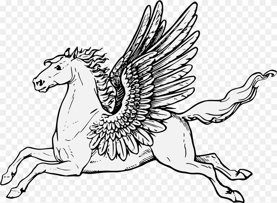 Pegasus Horse, Art, Drawing, Person Png Image