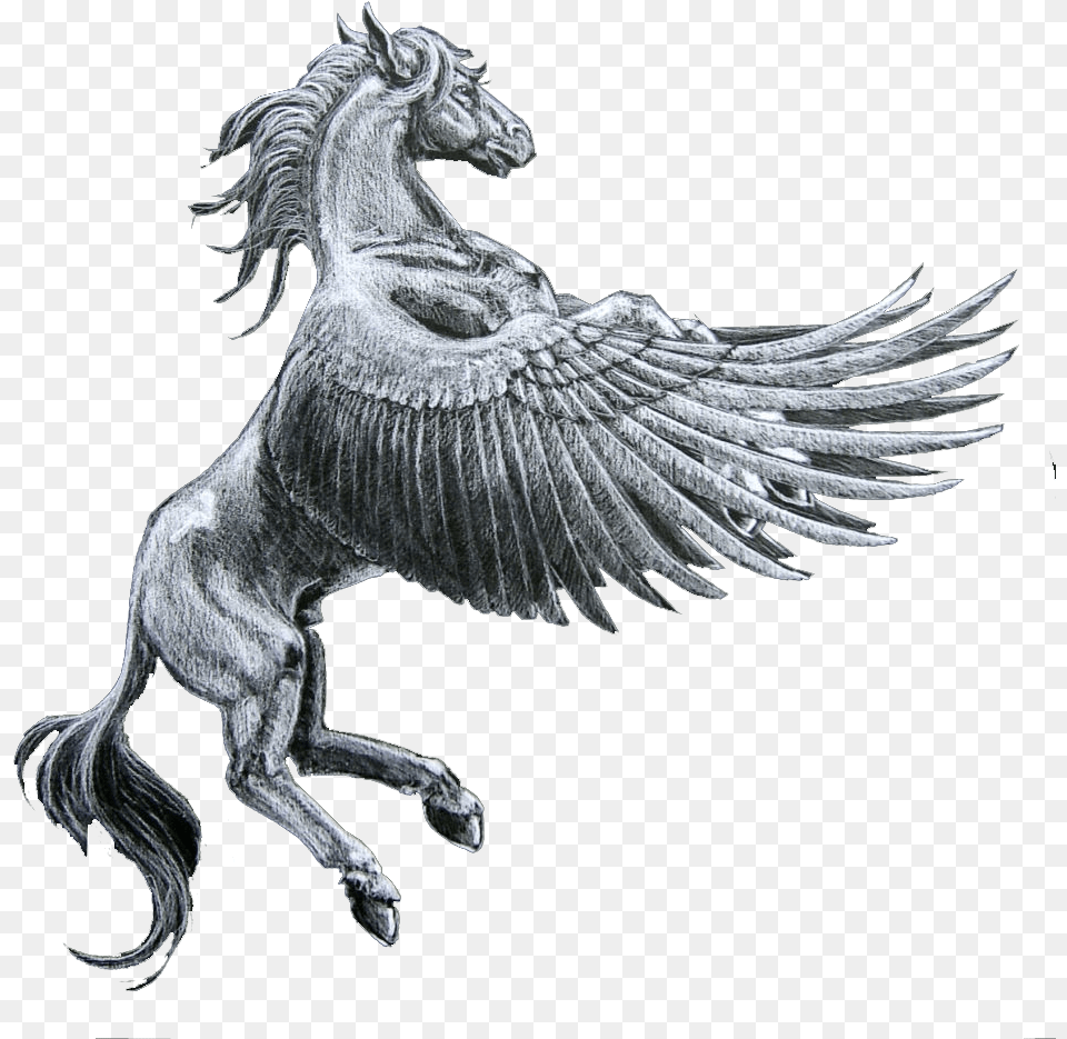 Pegasus Horse Download Pegasus Horse, Animal, Mammal, Art Png