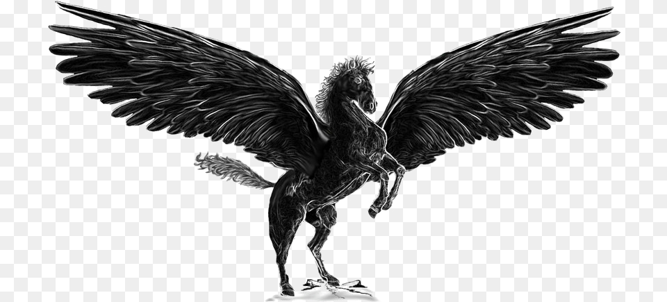 Pegasus Art, Animal, Dinosaur, Reptile Png Image