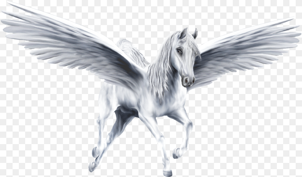 Pegasus Pegasus, Animal, Bird, Angel, Horse Png Image