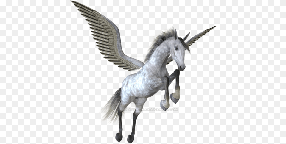 Pegasus Image Pegasus, Animal, Bird, Mammal, Horse Free Png