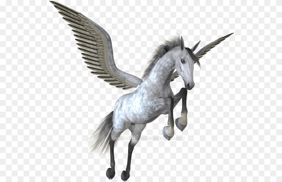 Pegasus Image Pegasus, Animal, Bird Free Png