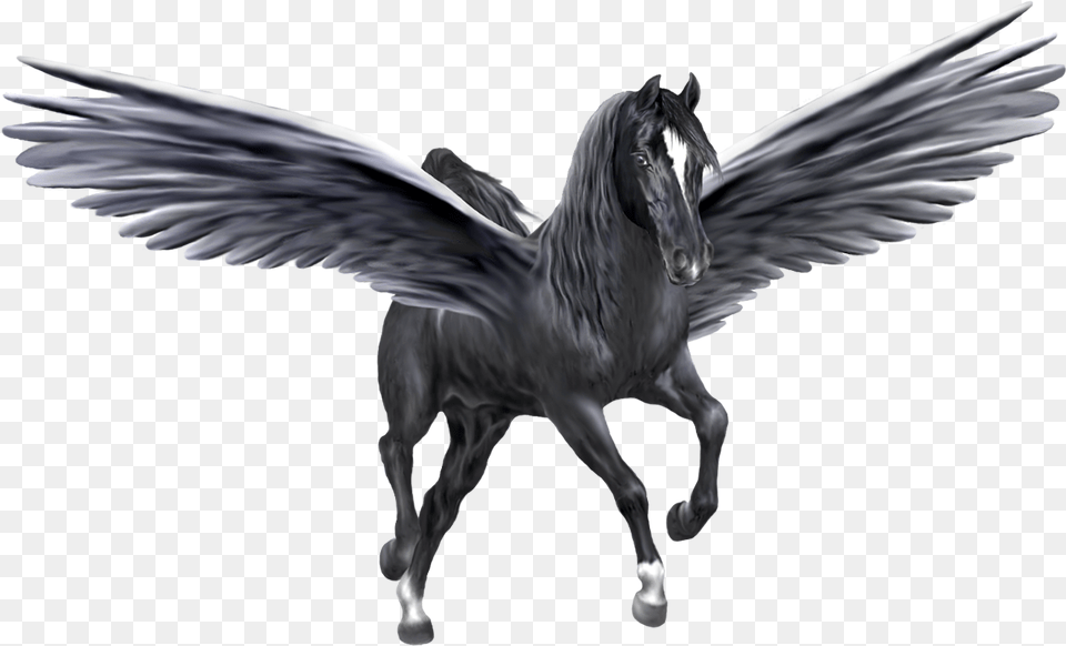 Pegasus Pegasus Animal, Bird Free Transparent Png