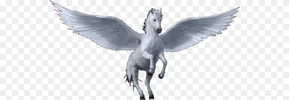 Pegasus Transparent Tri Star Columbia Tristar Home Entertainment Horse, Animal, Bird, Mammal Free Png