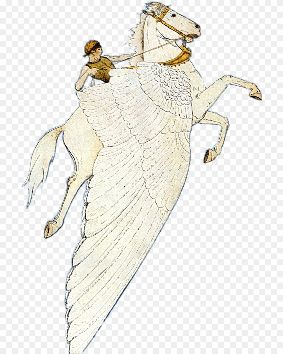 Pegasus Winged Horse Illustration, Adult, Bride, Female, Person Free Png