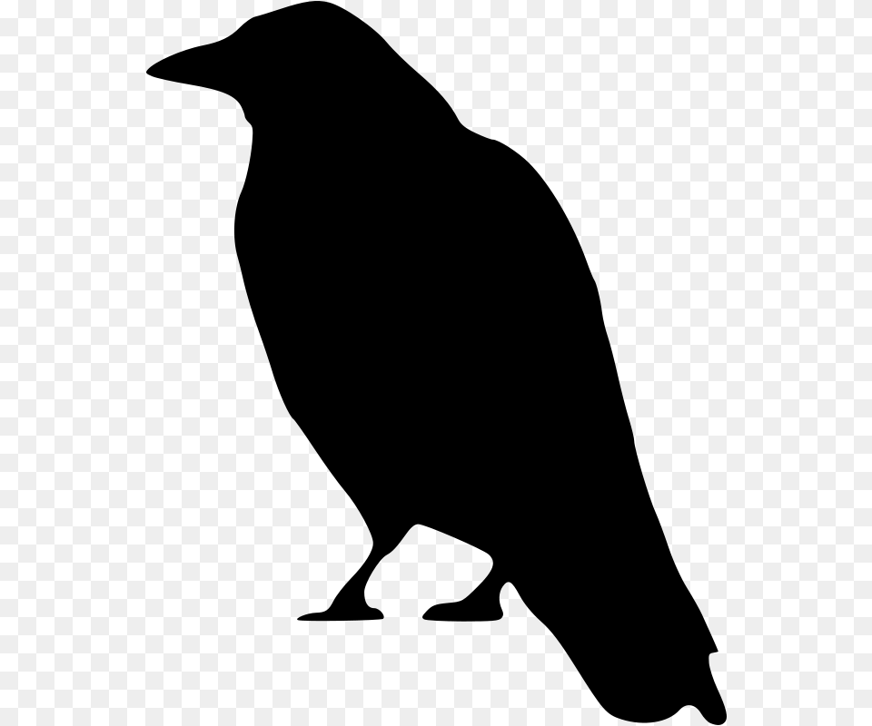 Peileppe Crow Standing, Gray Free Png Download