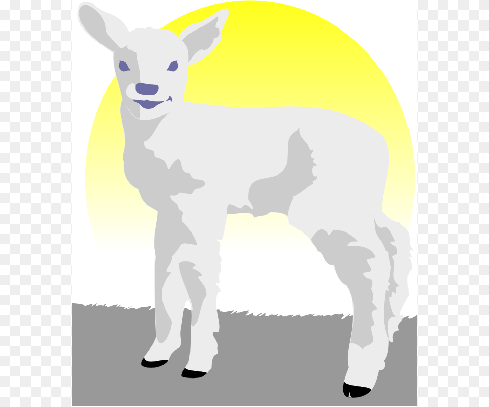 Peileppe Lamb, Livestock, Animal, Mammal, Adult Png Image