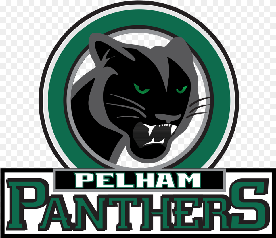 Pelham Panthers Pelham Minor Hockey, Animal, Mammal, Panther, Wildlife Png Image
