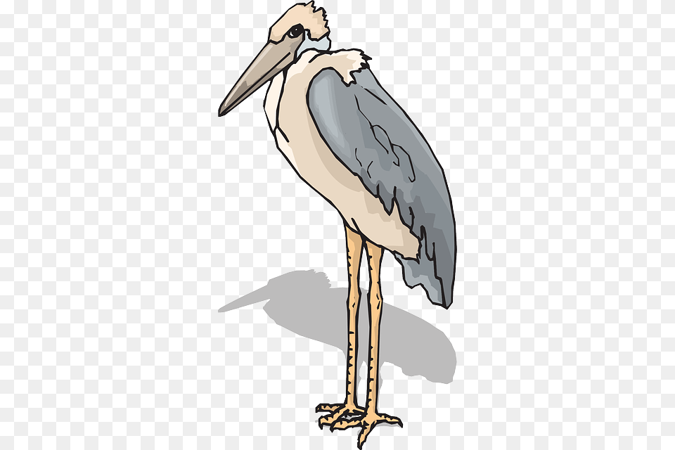 Pelican, Animal, Bird, Stork, Waterfowl Free Png Download