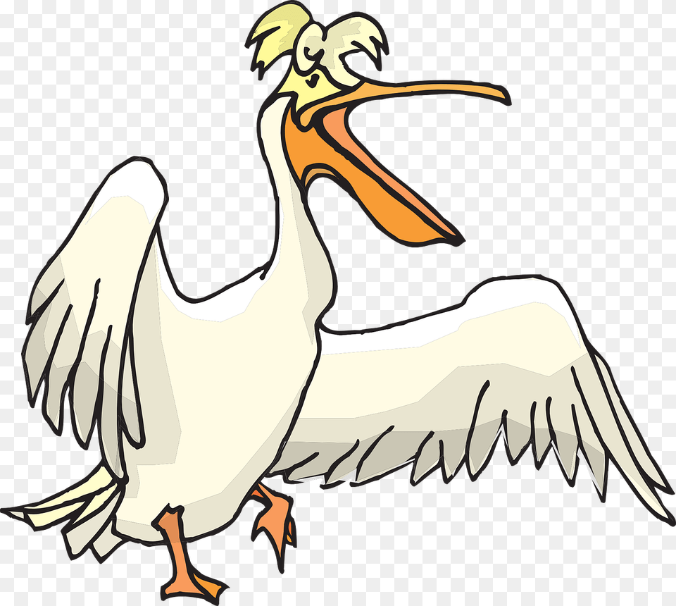 Pelican, Animal, Bird, Waterfowl, Adult Png Image