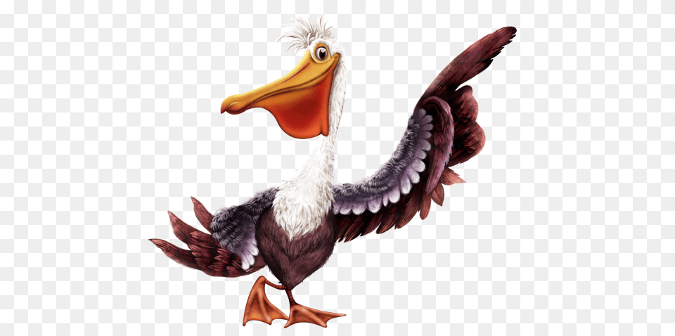 Pelican, Animal, Beak, Bird, Waterfowl Free Transparent Png