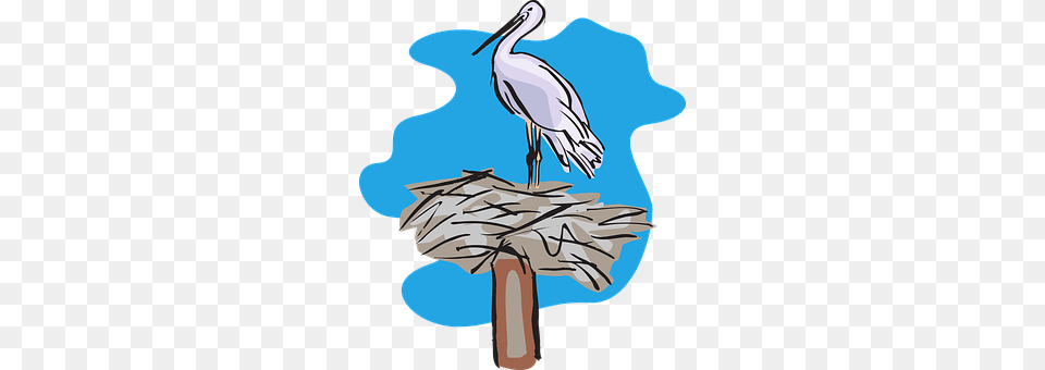 Pelican Animal, Bird, Crane Bird, Stork Free Transparent Png