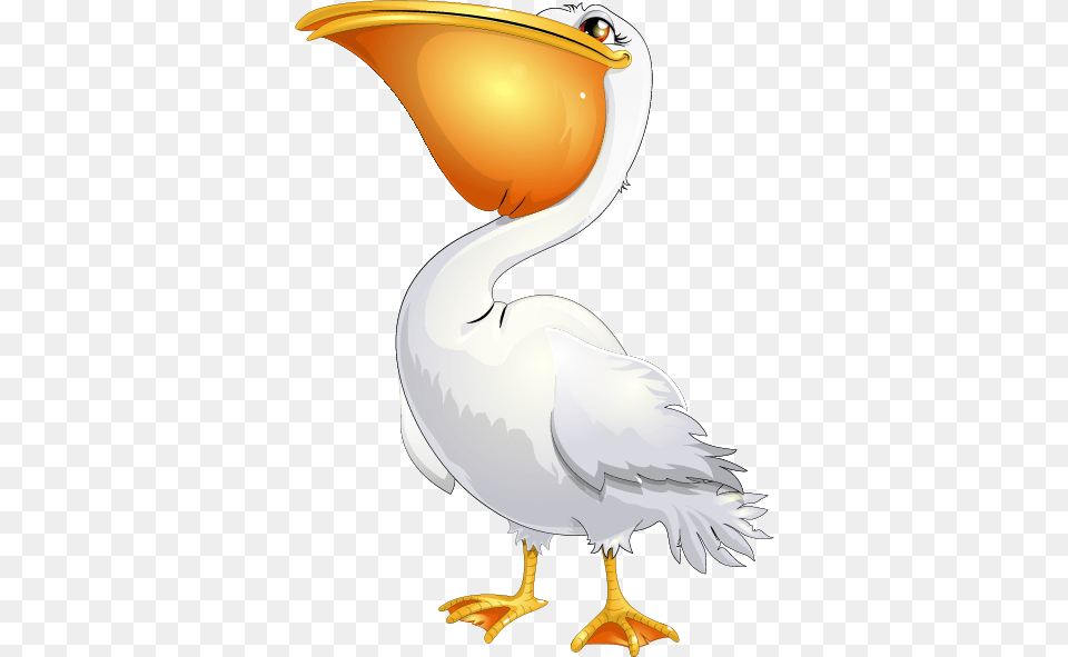 Pelican, Animal, Bird, Waterfowl, Fish Png Image