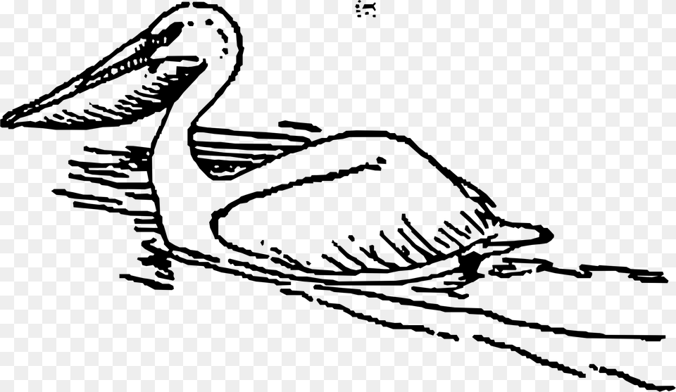Pelican Bird Clip Art Duck Swimming Clipart Black And White, Gray Free Png