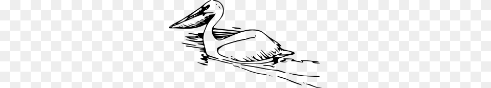 Pelican Clip Art, Animal, Bird, Waterfowl, Fish Free Transparent Png