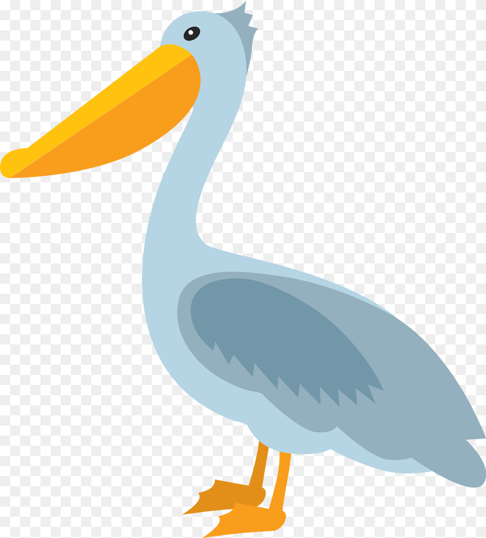 Pelican Clipart, Animal, Bird, Waterfowl, Fish Png