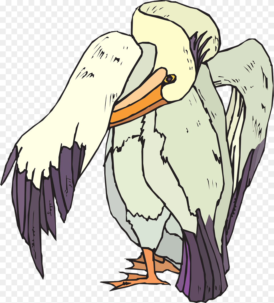 Pelican Clipart, Animal, Bird, Waterfowl, Person Png