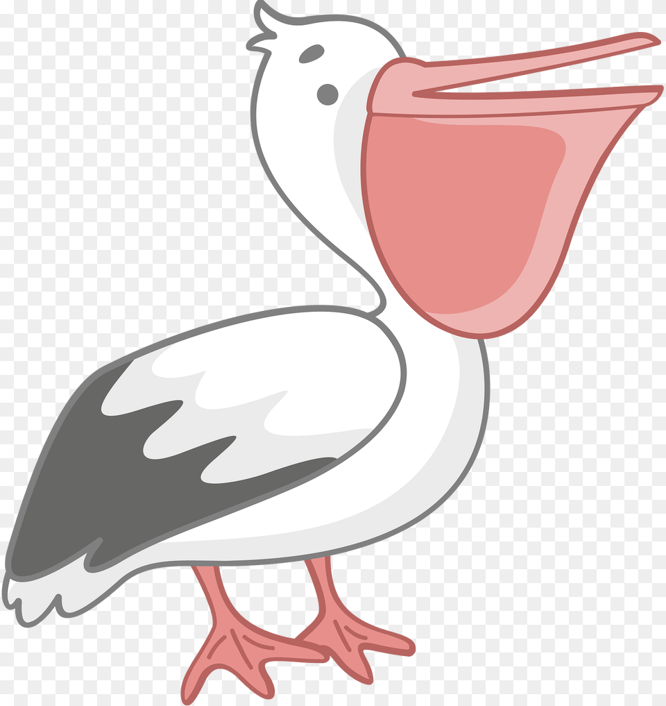 Pelican Clipart, Animal, Bird, Waterfowl, Beak Png