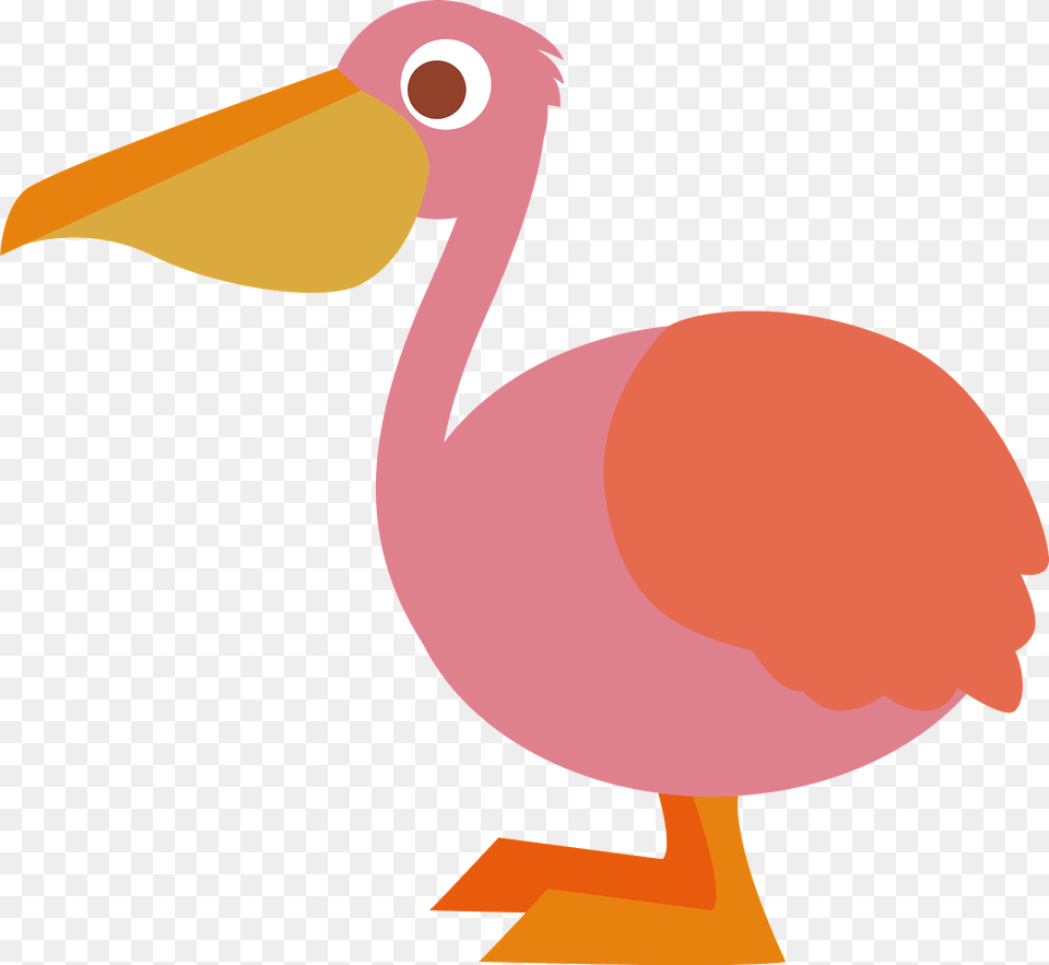 Pelican Clipart, Animal, Beak, Bird, Waterfowl Free Png