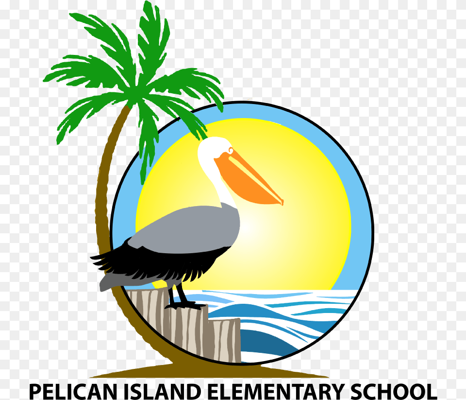 Pelican Island Elementary School Illustration, Animal, Bird, Waterfowl Png