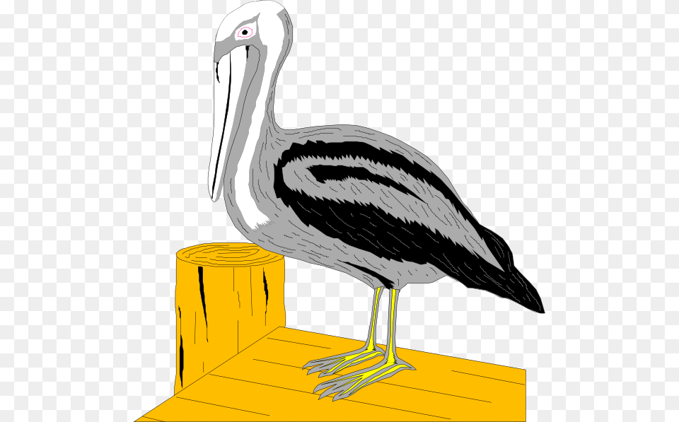 Pelican On Dock Clip Art, Animal, Bird, Waterfowl, Beak Free Png Download